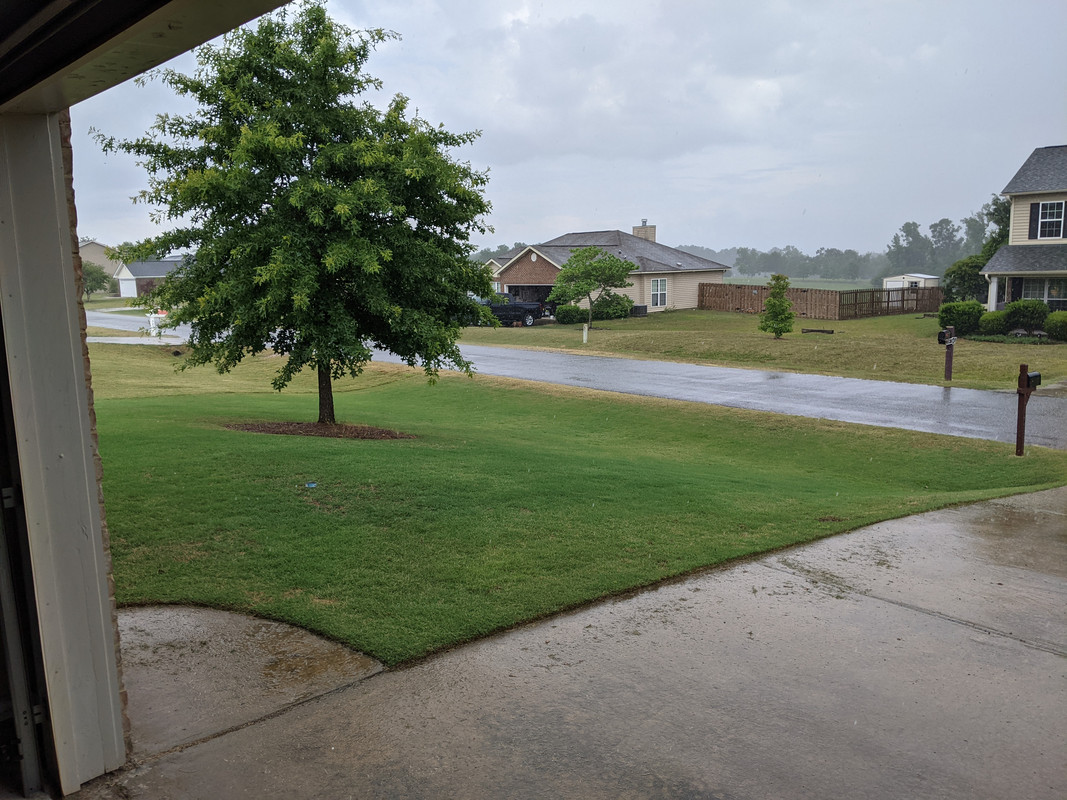 PXL_20210604_205233497