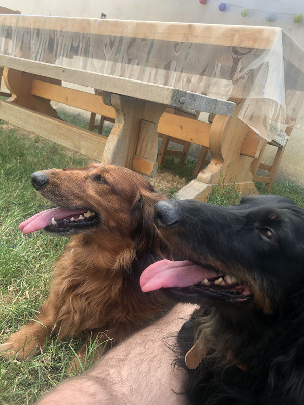 [Image: CEA0-AF84-264-B-4-C0-C-A0-BE-5-F313-F4788-C4.jpg]