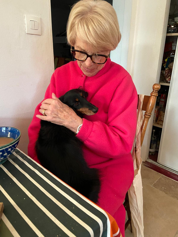 [Image: 73fe9d7b-d877-46c4-931b-42f1f47168d2.jpg]