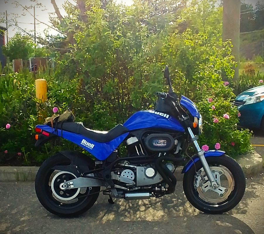 Buell Cyclone 99 spider