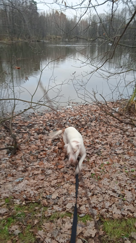 2206E6AB-BCB4-4B44-AC37-A893F13FB577