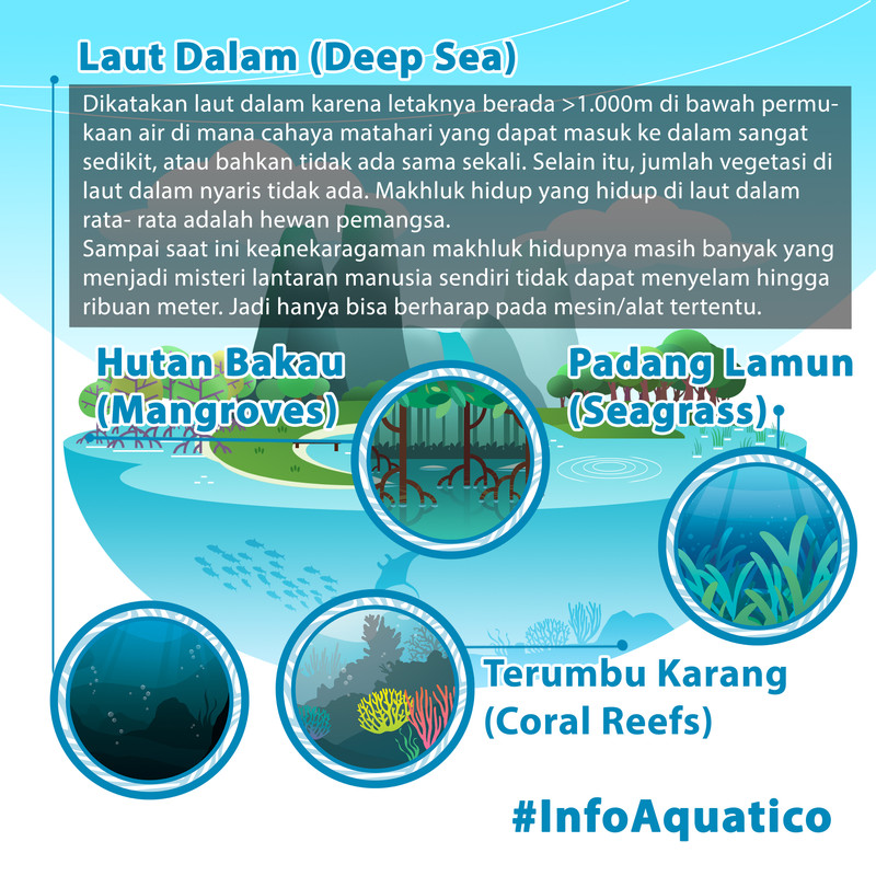 Laut dalam