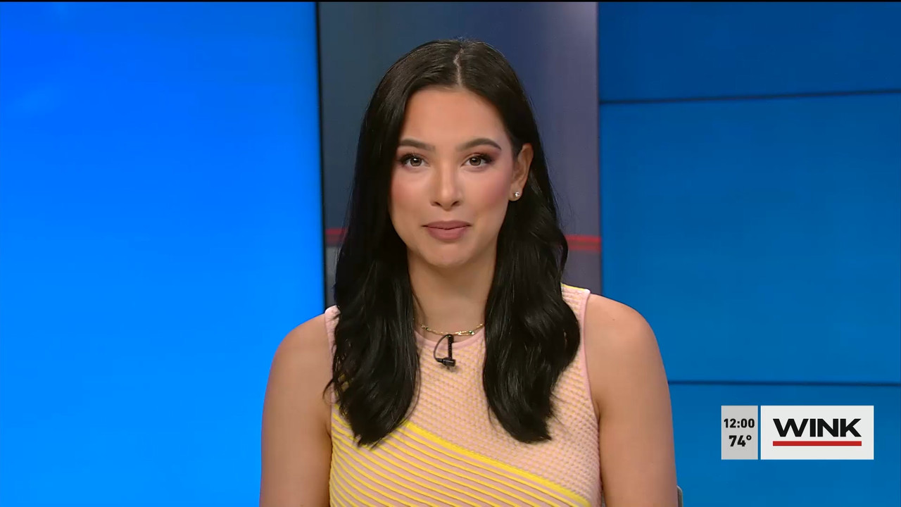 03.14 - 16.00.00 - The WINK Noon News  ᴺᵉʷ. Midday news update..ts_snapshot_06.59.998