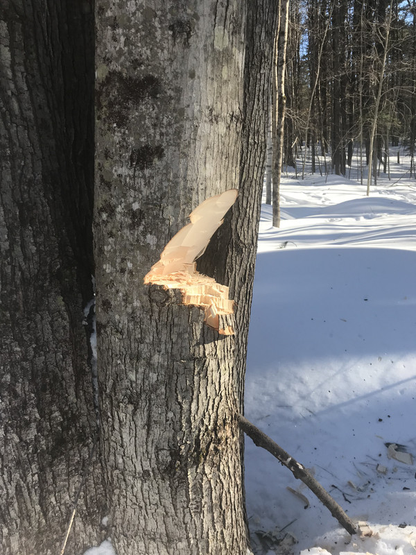 76B6C8BE-47F0-4C72-847C-623EEF76DCAD