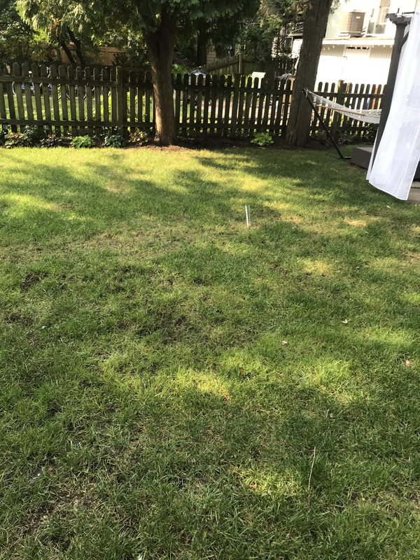 2020-09-16 09.41.20-1