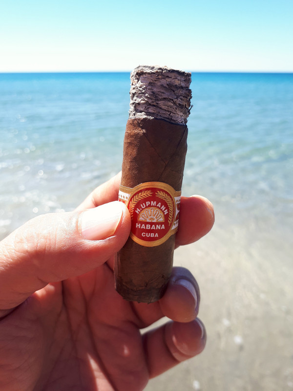 50054772186_c09d0d77ee_o