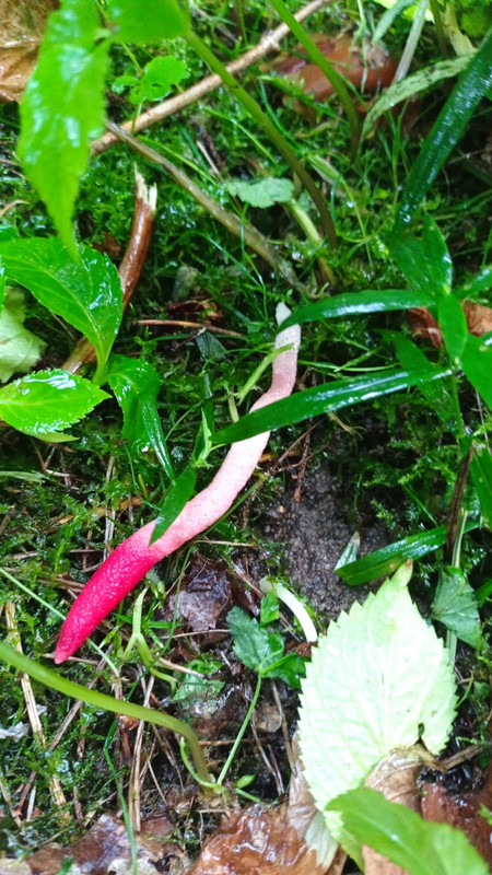 Изображение WhatsApp 2025-07-30 в 00.25.54_f0065037