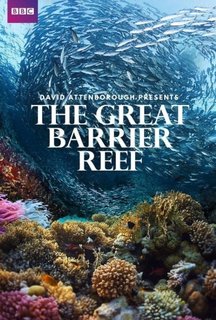 Great-Barrier-Reef-with-David-Attenborough-E01-E03.jpg