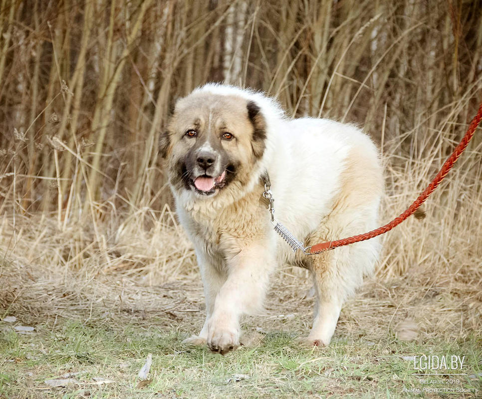 7B632BD4-8233-4C28-A647-796B8EF3B70B