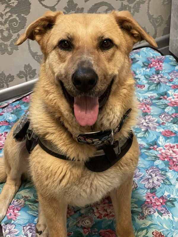 OCnb0X_YY-v7tTIaNMuF1AncWQW6NC256uPI_DEW07feq1s0Deccx4PR7OzBjS4czCYp5TnWWGC7HjkEvwrkJD1h