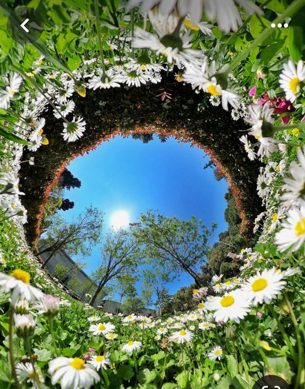 Screenshot_20240305_225523_Pinterest