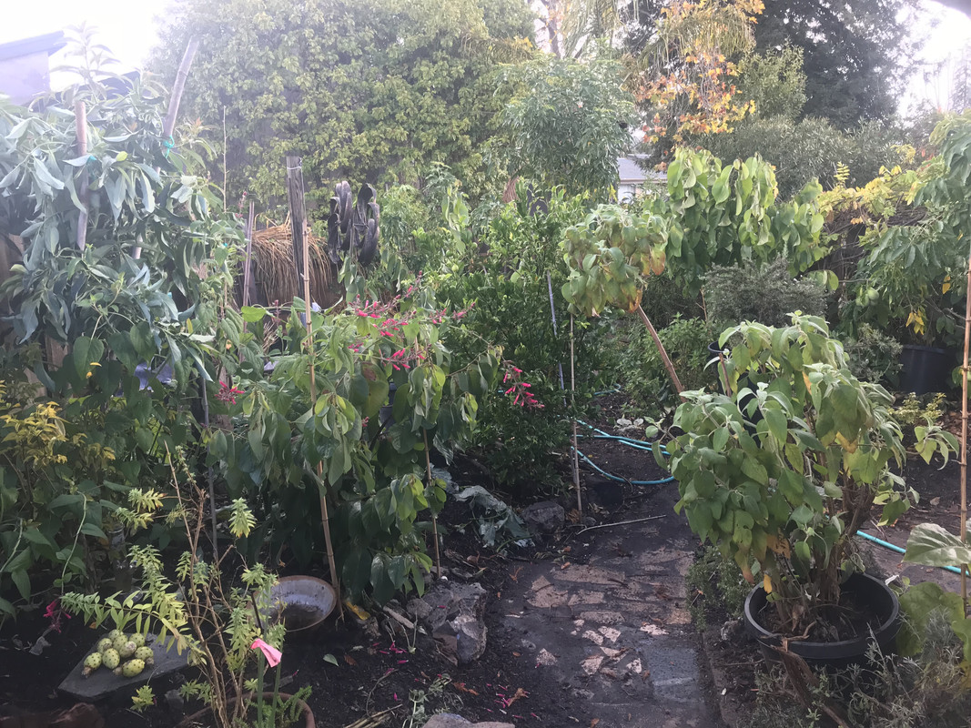 66706650-A512-4F4C-AEC4-816B877DFA4E