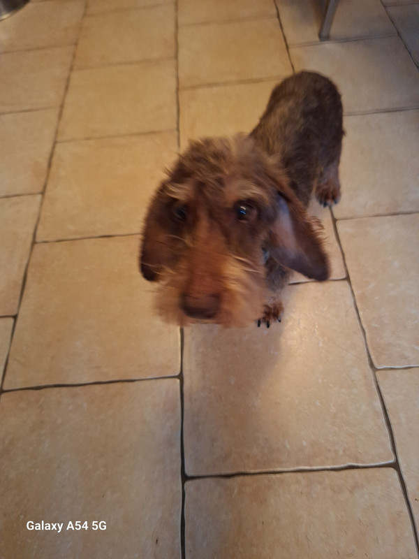 [Image: 20241022-091903.jpg]