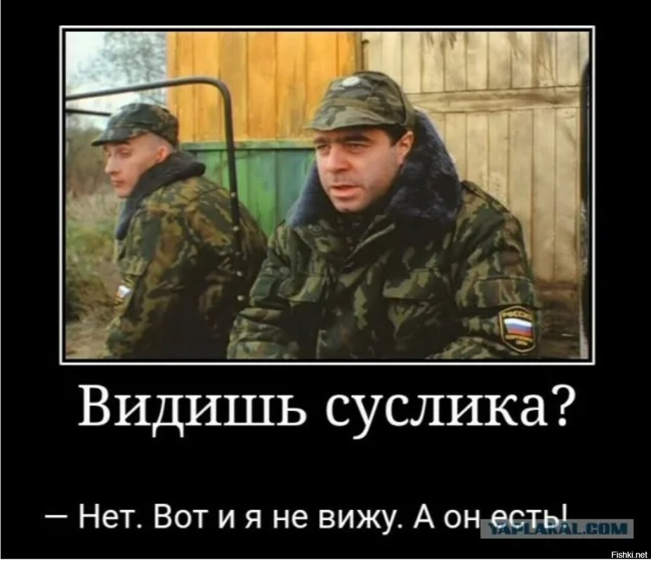 65d351b388953682990227fec39918a4