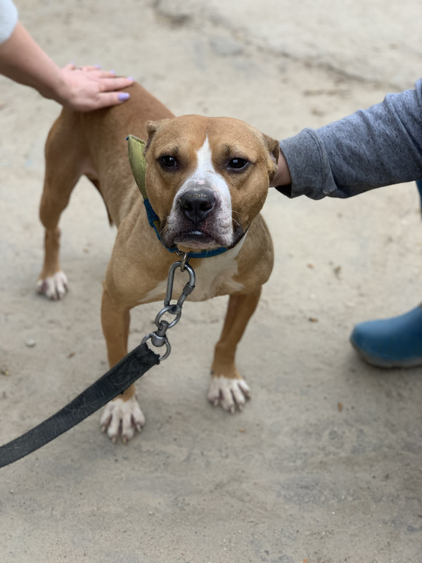 9000D03D-DE7C-4782-9E3B-DC589CA639AE