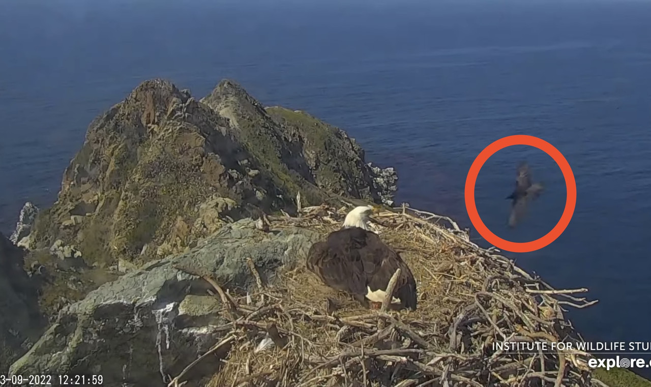 E9E816E6-2319-4F74-BCF4-A745A26EA64E