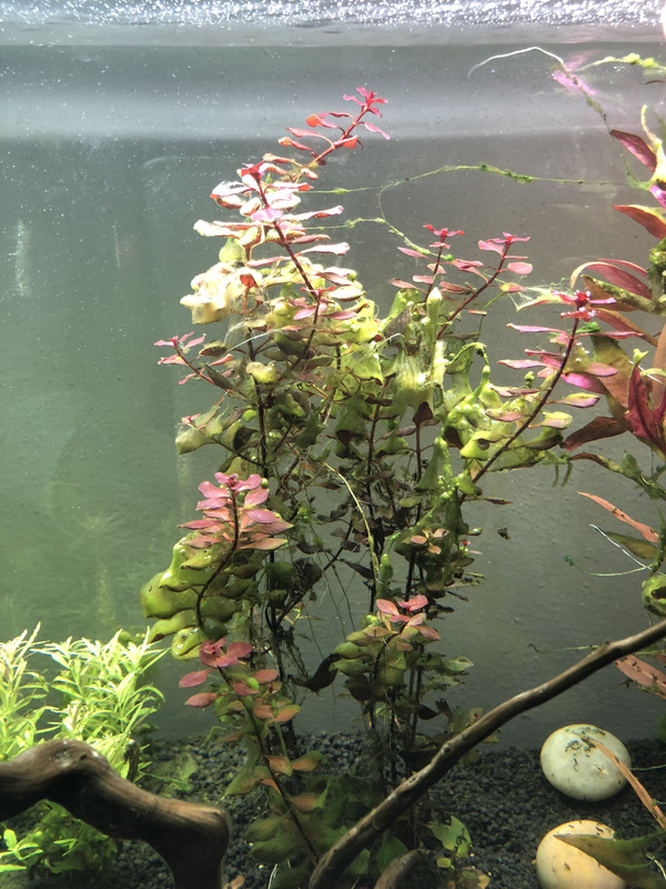 6D1085A0-DF53-49AC-A480-E8008E5B0BB2