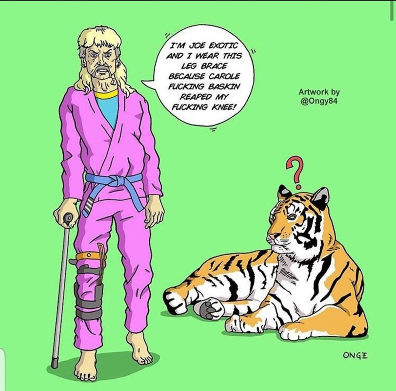 7CF26F73-BE5B-4E28-AC2B-4B3C3E12BF9E-1348939