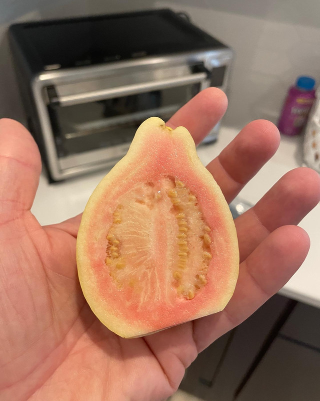 01D41C29-0303-4A8C-ADF9-7232C3E08094