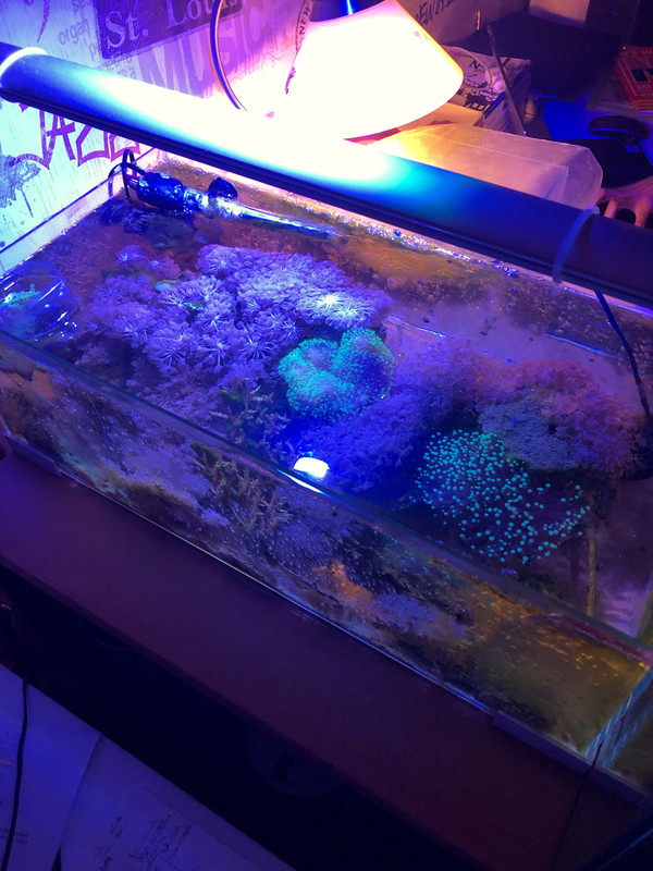 6B3B1621-175A-4EA2-808A-3A2A7069D01A