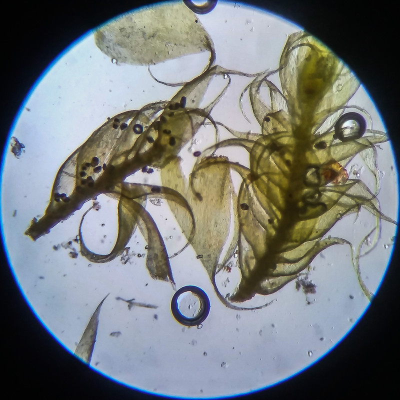 IMG 20250614 204514 HDR