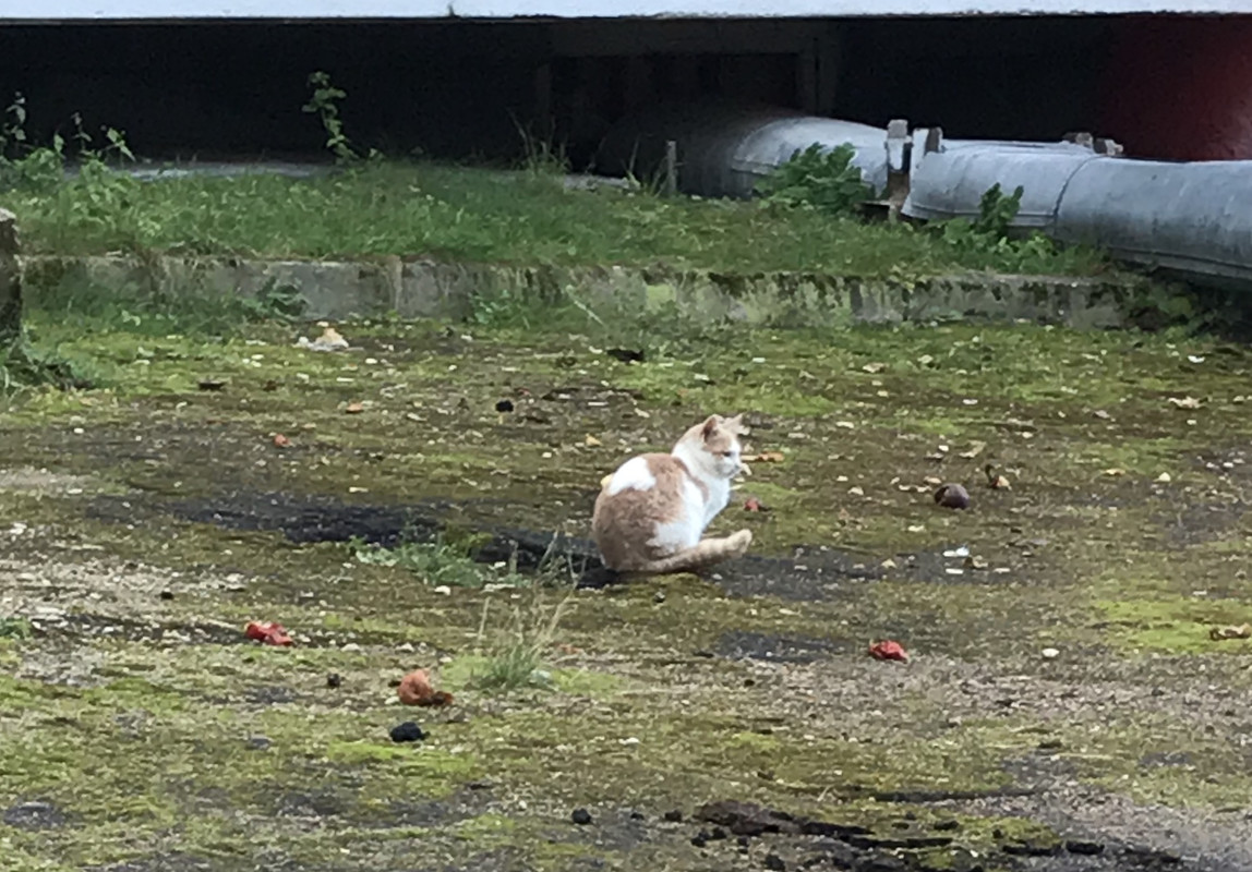 044F1C82-C75B-4A44-B70D-93ADB5F53C85