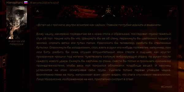 предпросмотр-записи