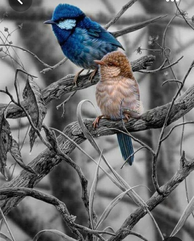 Screenshot_20230409_222220_Pinterest