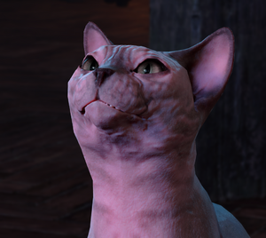 300px-His-Majesty-Face.png