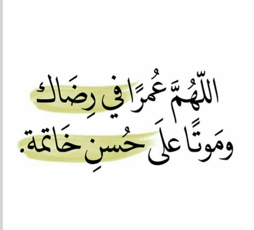 72C20DAB-B68A-48F5-8DC4-9406C27535C4