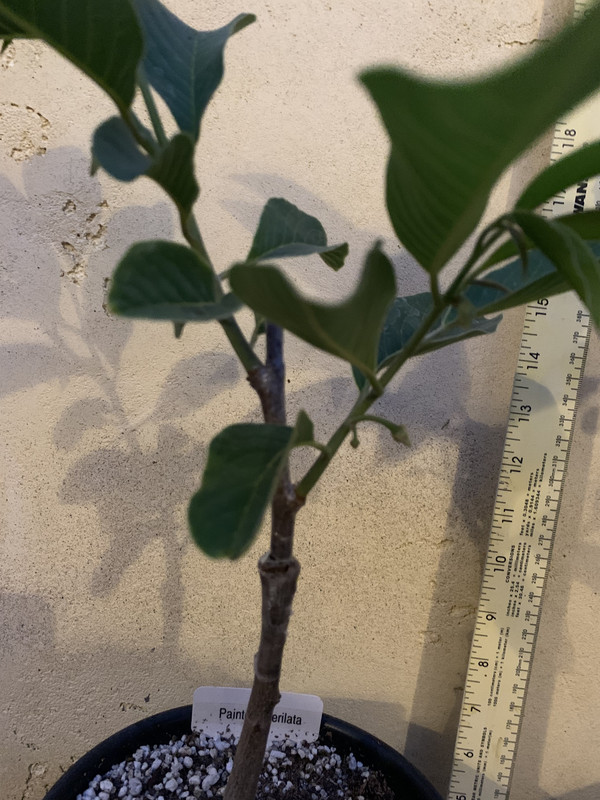 5C86BC3E-704A-4F16-8A18-8668FF0E6766