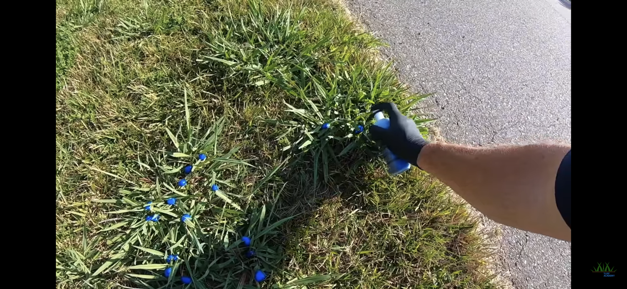 720DE2CC-1B53-42FD-86CC-8374EFB52CF0