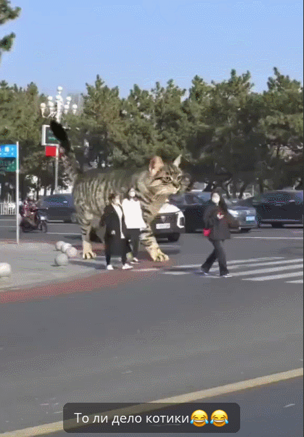 GIF-28.gif