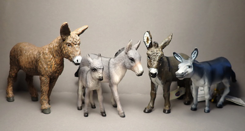 Lovely donkeys from Mojo 2020 :D P6290055