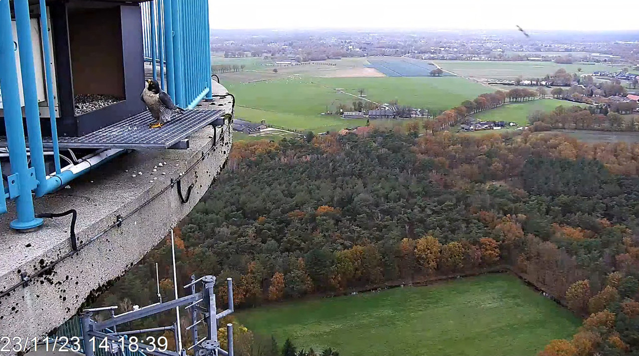 screenshots va 2 november 2023 © VWGGemert - Pagina 5 2023-11-23-141908