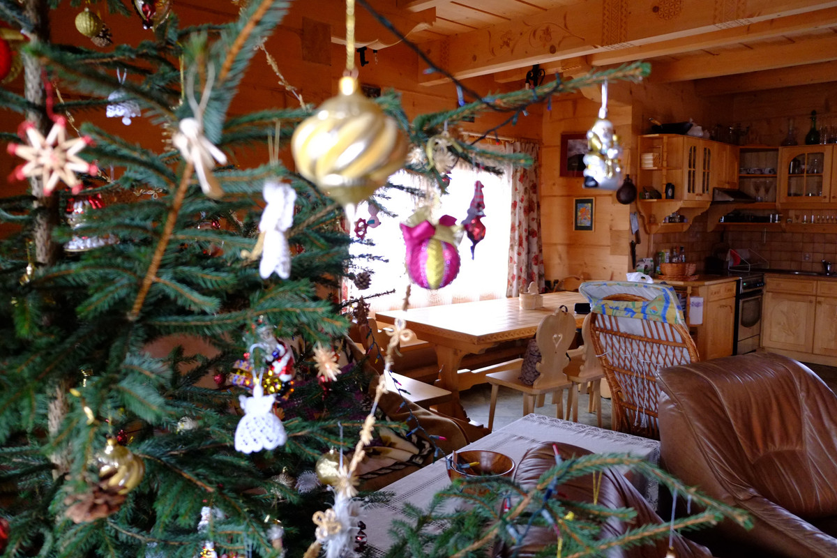 001 - DSCF6212 (Brunhilda)