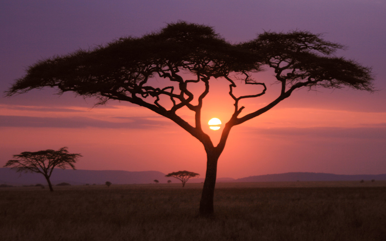 Soleil africain NatGeo11