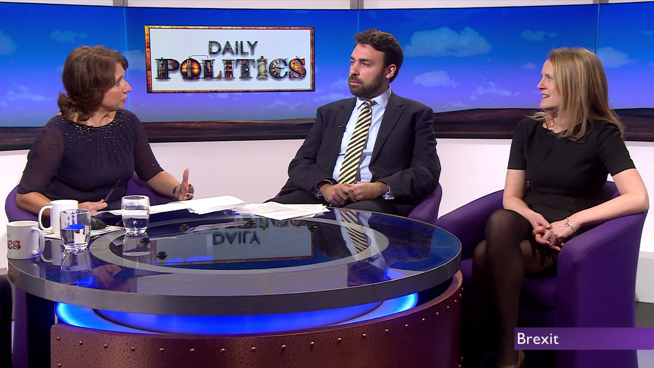 Daily Politics_20171219_12001300.ts_snapshot_00.13.35_[2017.12.1