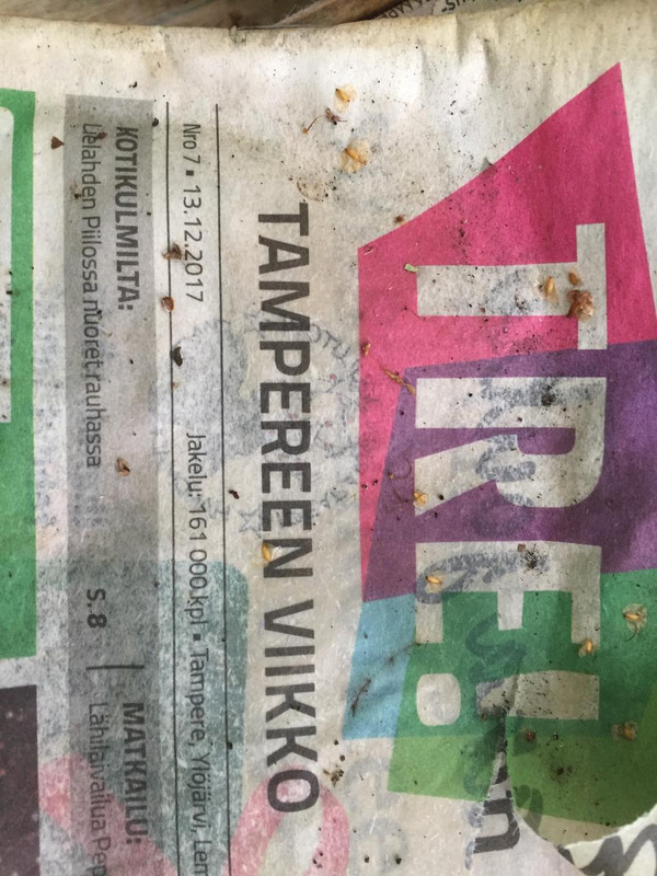 B9750D25-CC0B-4BA8-8ADC-9D48DE23B7DF