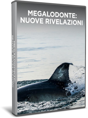 Megalodonte - Nuove rivelazioni (2018) .avi WebRip Mp3 Ita