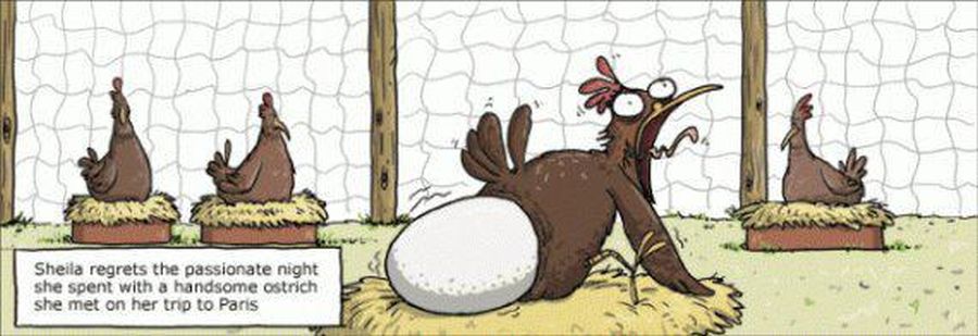 424558_523877610976635_446946397_n