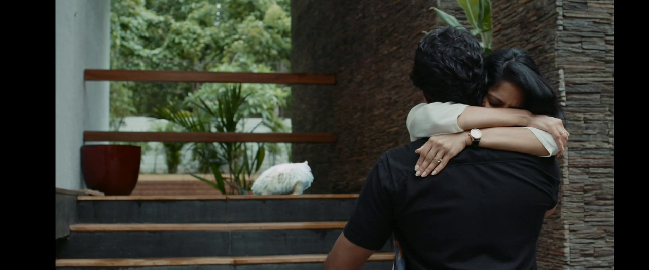 vlcsnap-2025-04-30-16h26m00s457