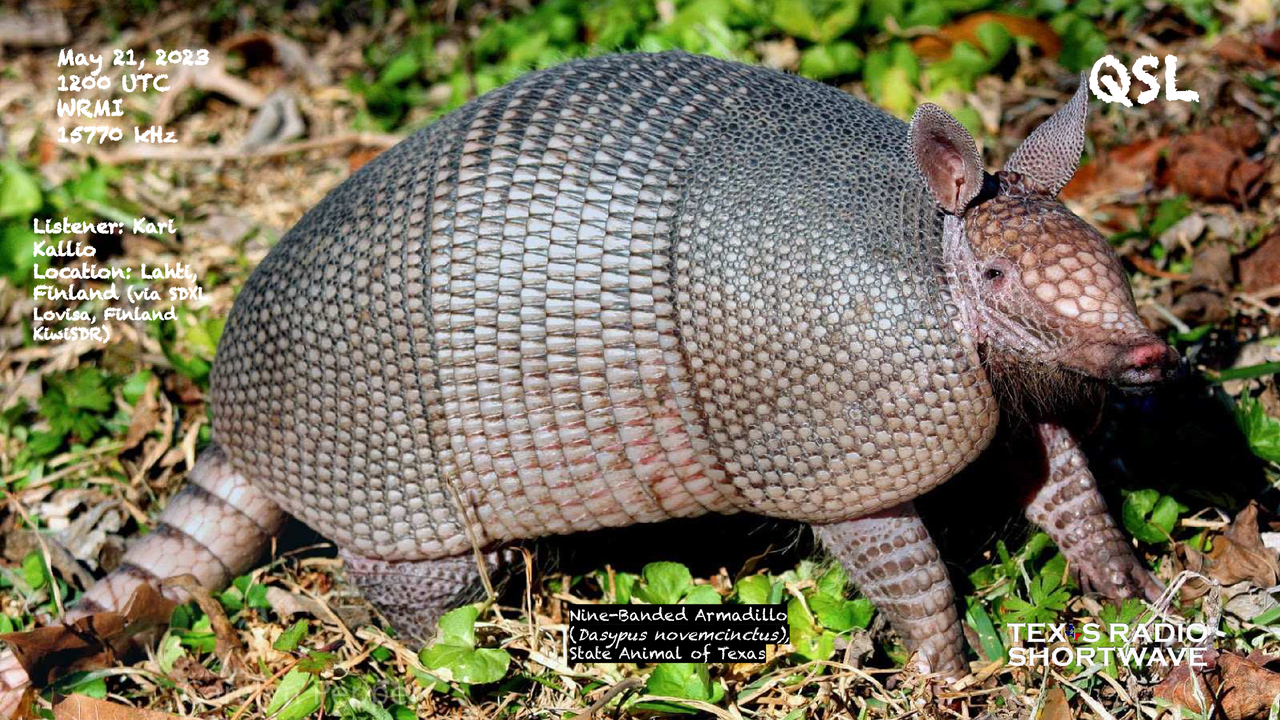 TRSW - Armadillo #8 (15770 kHz) QSL_WRMI - Kallio