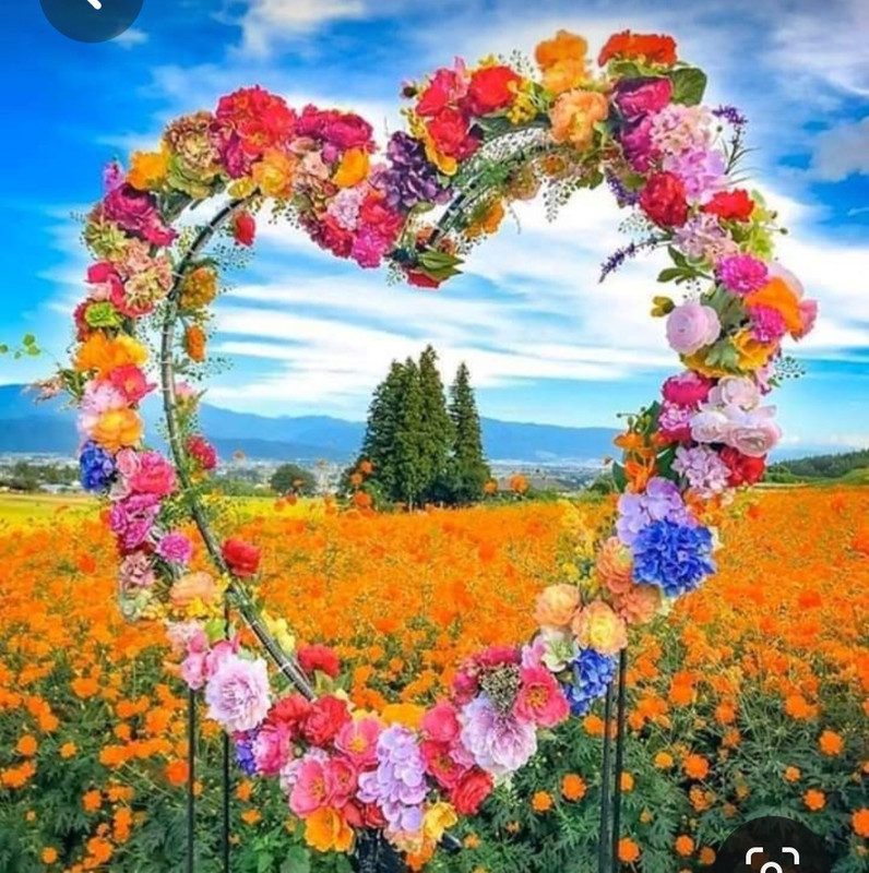 Screenshot_20230424_003503_Pinterest