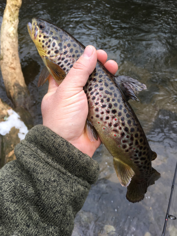 F508A425-D776-4213-A746-A33062257CB6