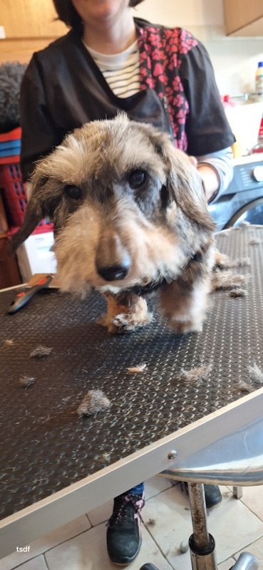 [Image: 20250213-144426.jpg]