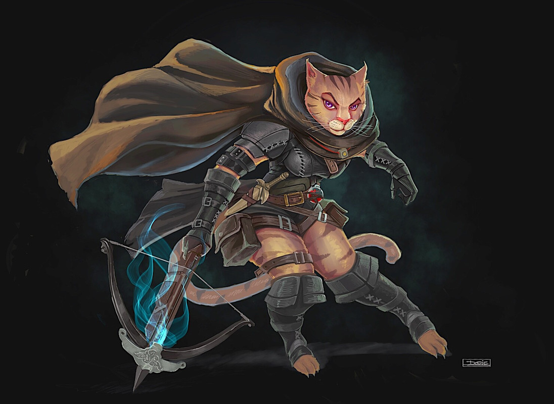 tabaxi thief