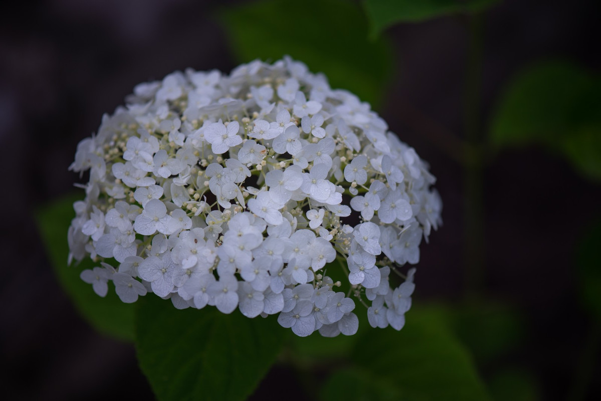 IMG-4c9d4d8c6b5b8024c8e8865821939a33-V
