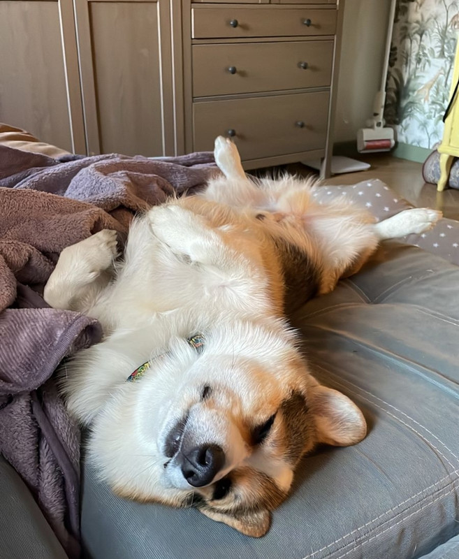 Screenshot_2023-09-21-21-05-51-383_com.whatsapp-edit