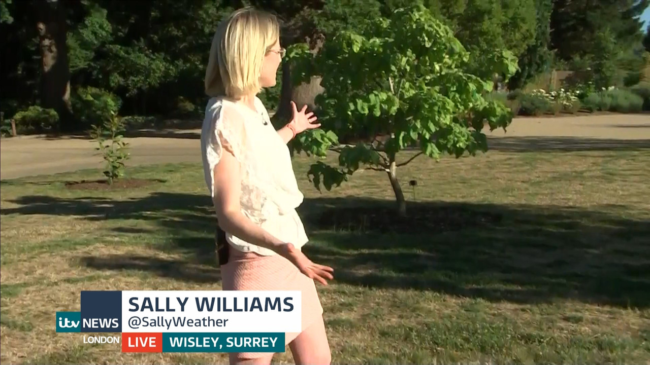 ITV News London_20220810_18001830.ts_snapshot_07.39.199